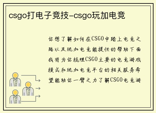csgo打电子竞技-csgo玩加电竞